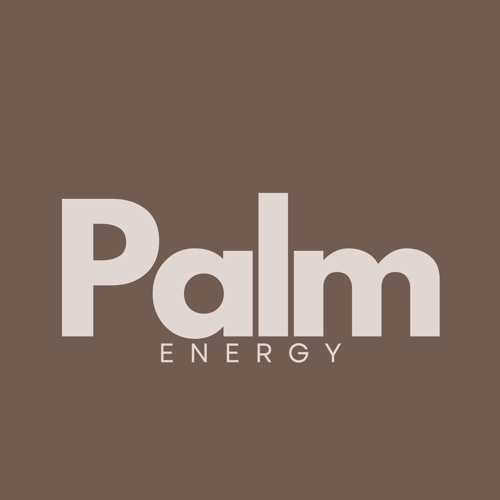 PalmEnergy
